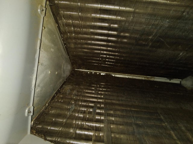 Why Musty HVAC Odors Persist Post Coil Clean-Up?