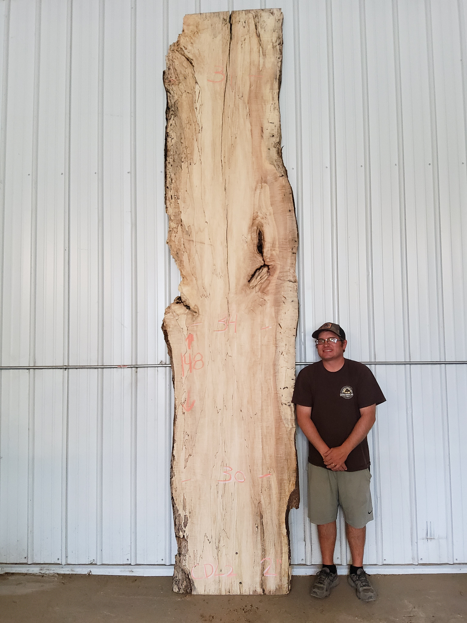 What is Spalted Maple Wood: Unveiling Its Unique Beauty