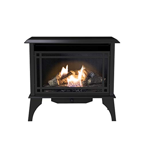 Pleasant Hearth VFS2-PH30DT 30,000 BTU 32
