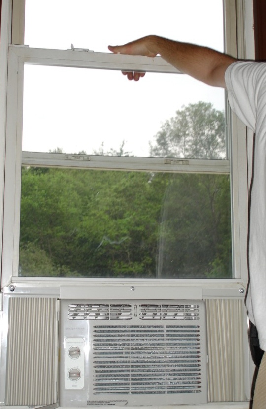 Can a Bat Fit Through an Air Vent