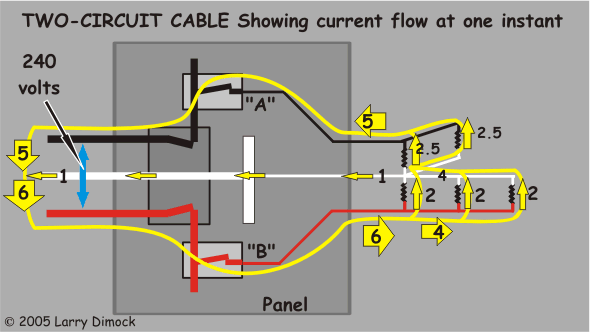 Can Two Circuits Share the Same Neutral Wire?