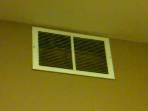 Can a Bat Fit Through an Air Vent