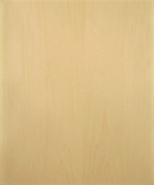 Can You Paint Prefinished Plywood  