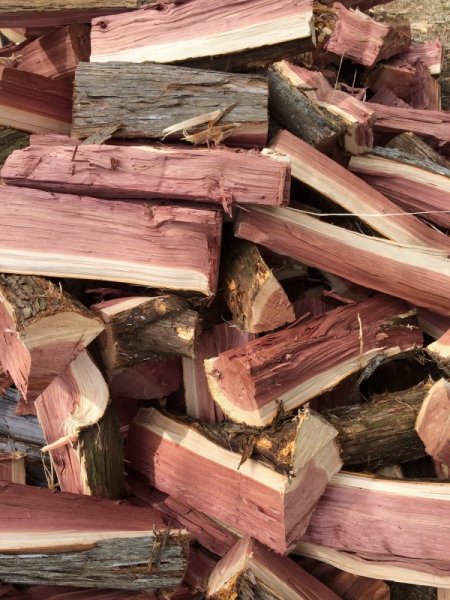 Is Cedar Good for Firewood? Uncover the Surprising Truth