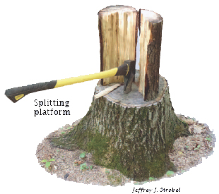 When Should You Split Wood  